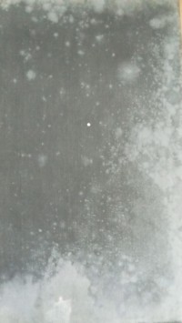 Image of Gestapo ( Instrument of Tyranny )