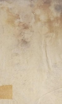 Image of Marriage Human Reality and Saving Mystery