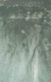 Image of Studies In The Social Psyhology Of Adolesceni