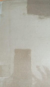 Image of The Web Of Government